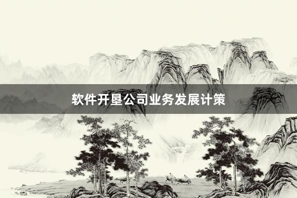 软件开垦公司业务发展计策