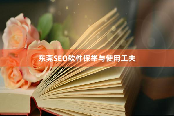 东莞SEO软件保举与使用工夫